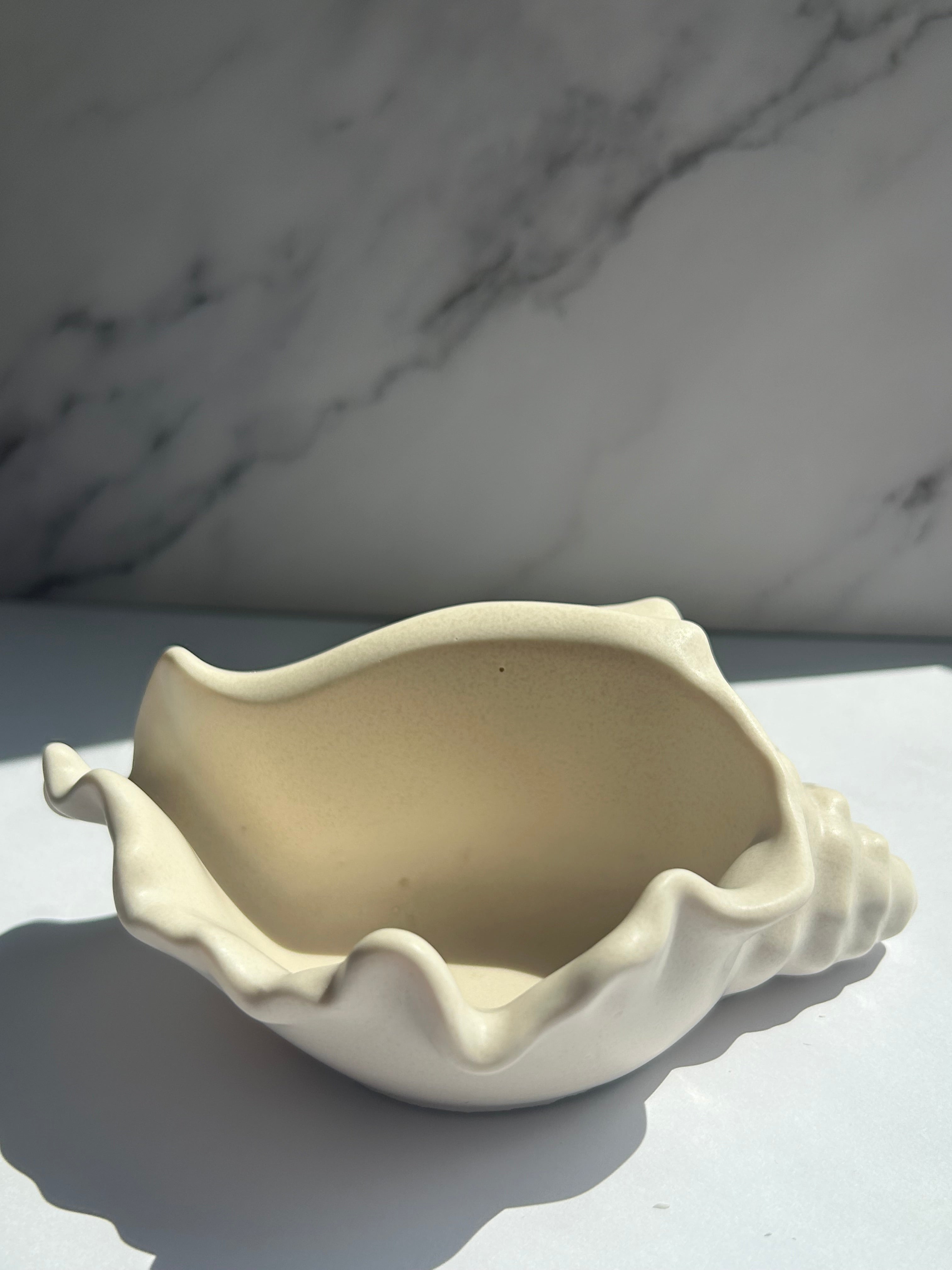 Muschelschale - Cream-White
