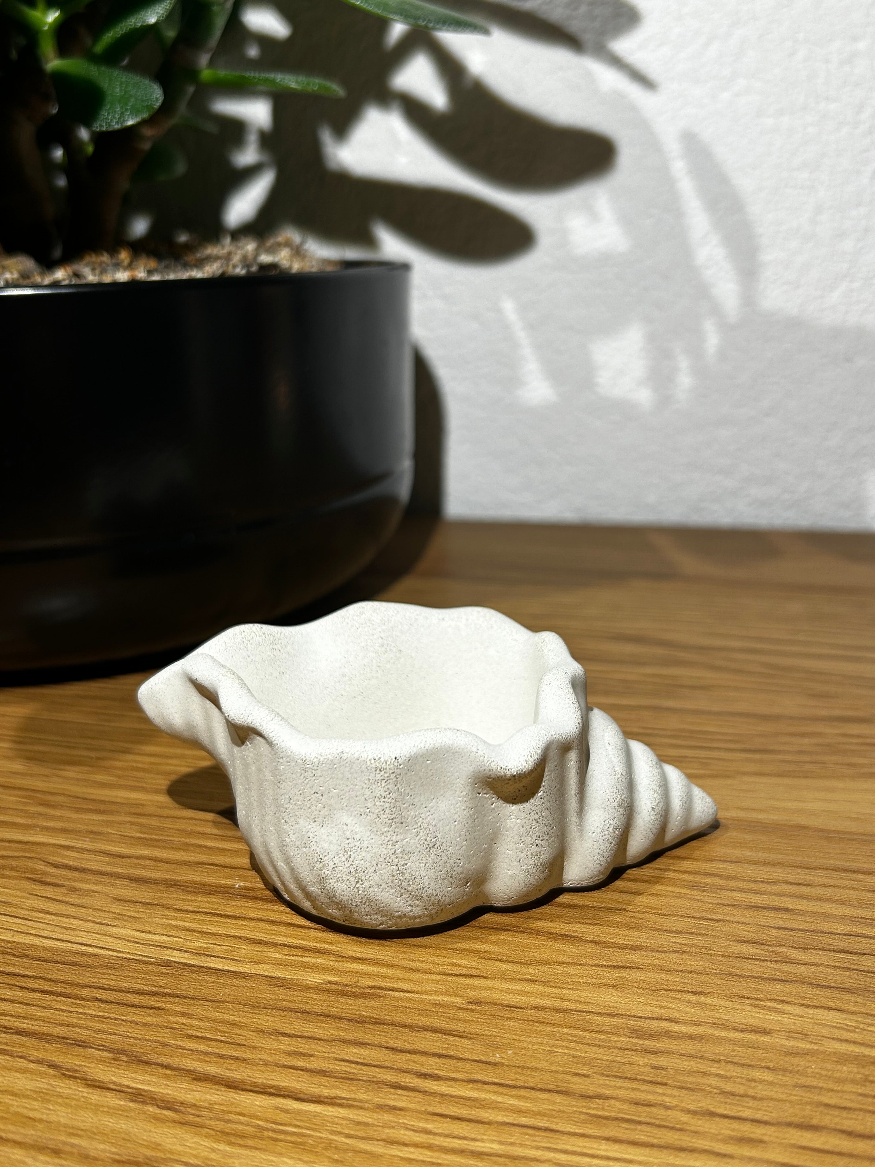 Mini Muschelschale - Sandstone