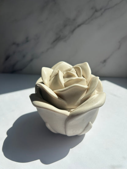 Rosendose - Cream-White