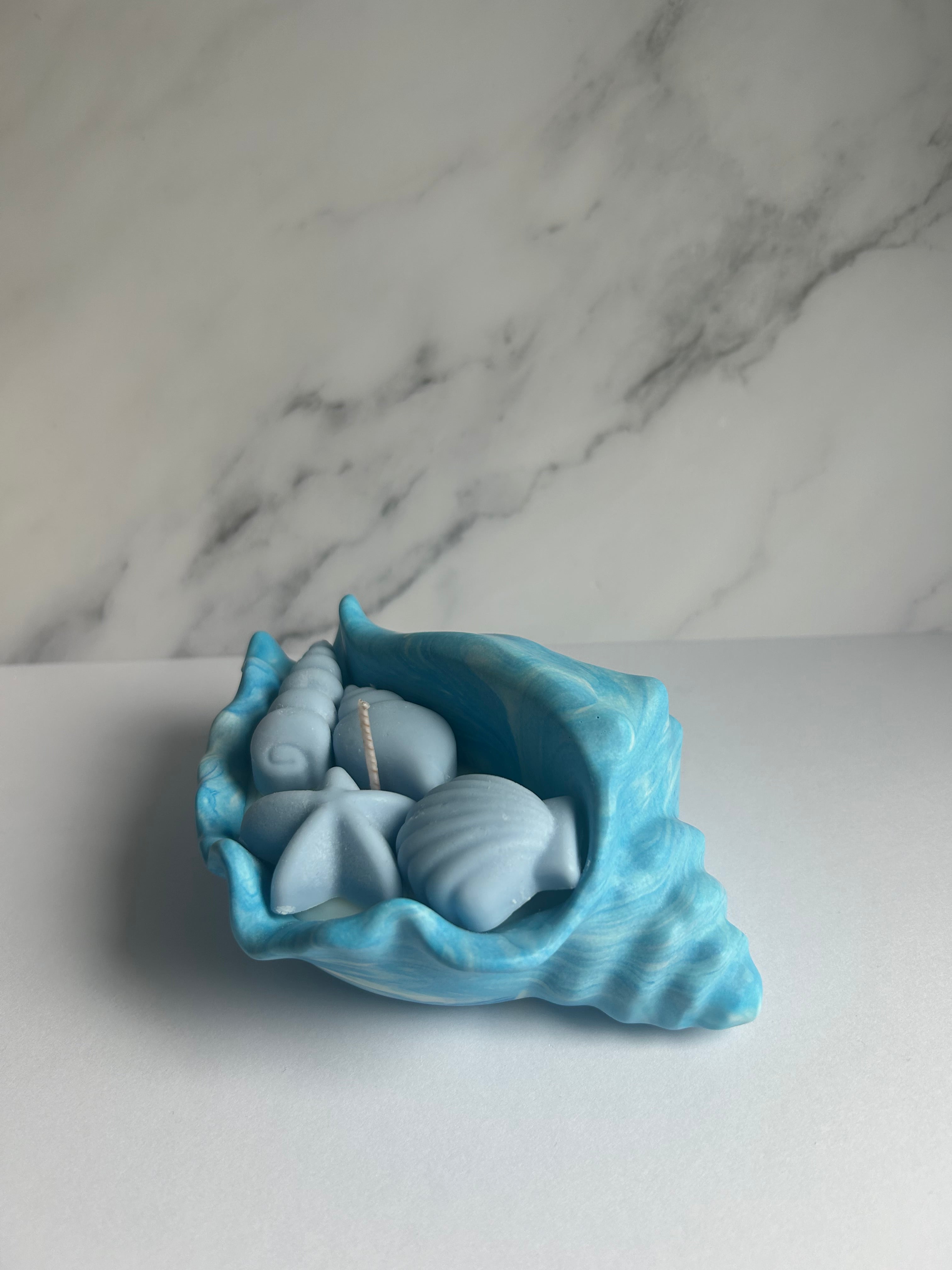 Muschelschale - Kerze Midnight Romance