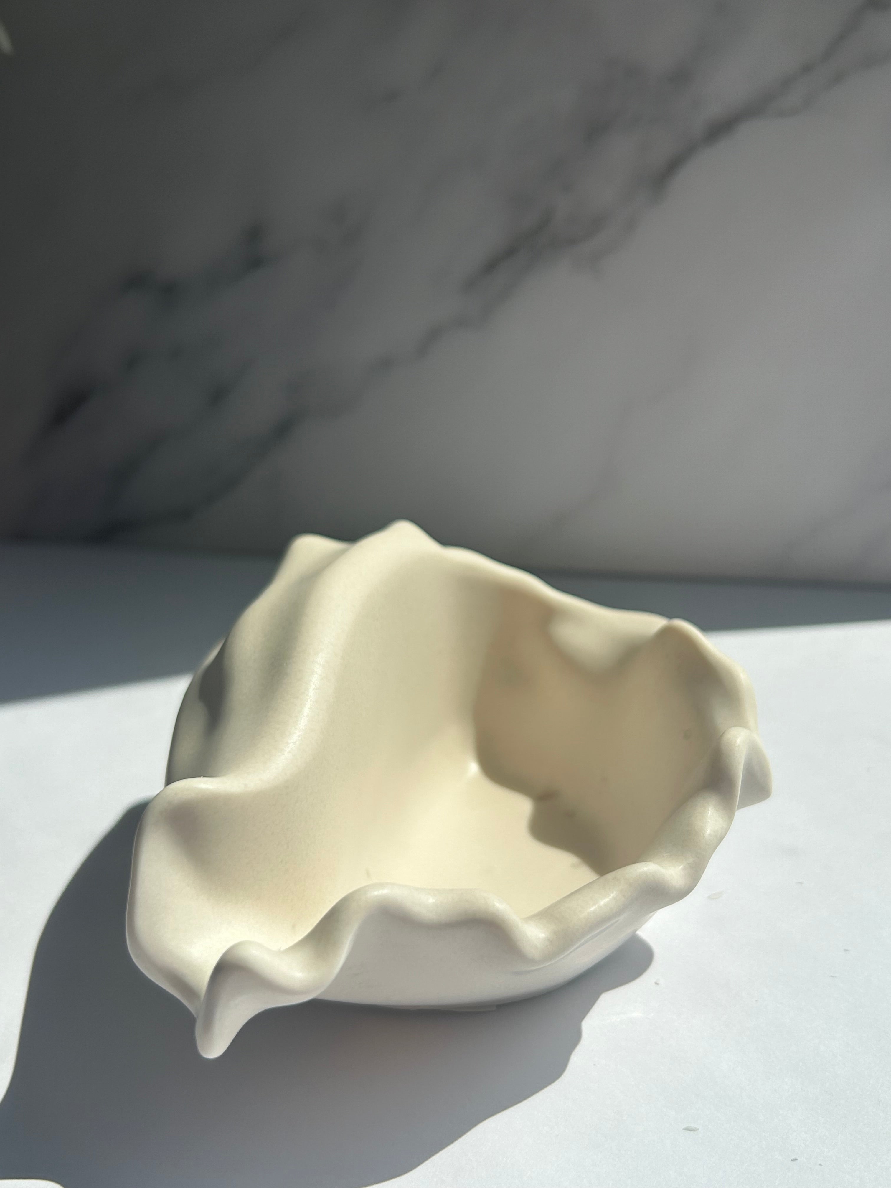 Muschelschale - Cream-White