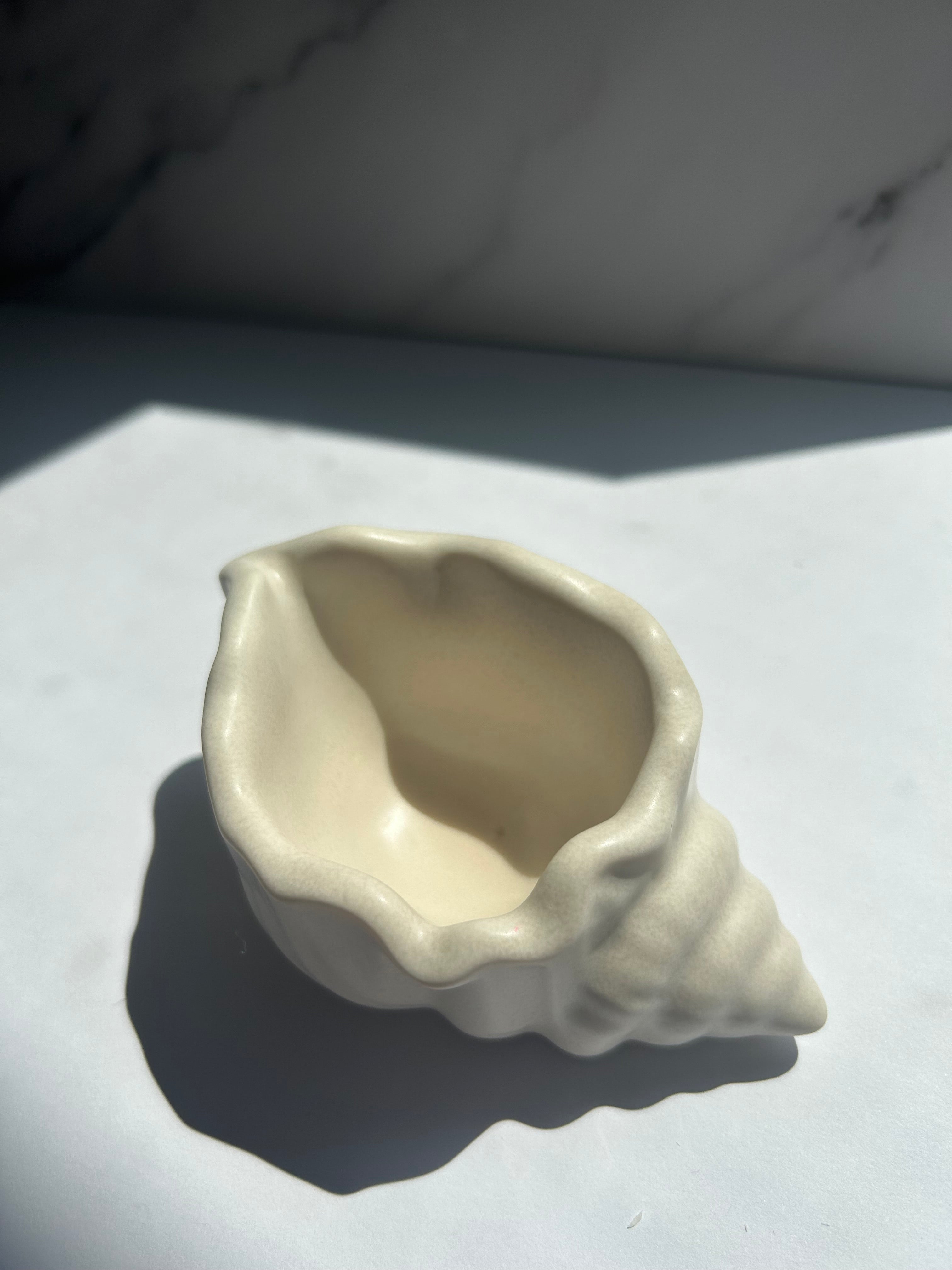 Mini Muschelschale - Cream-White