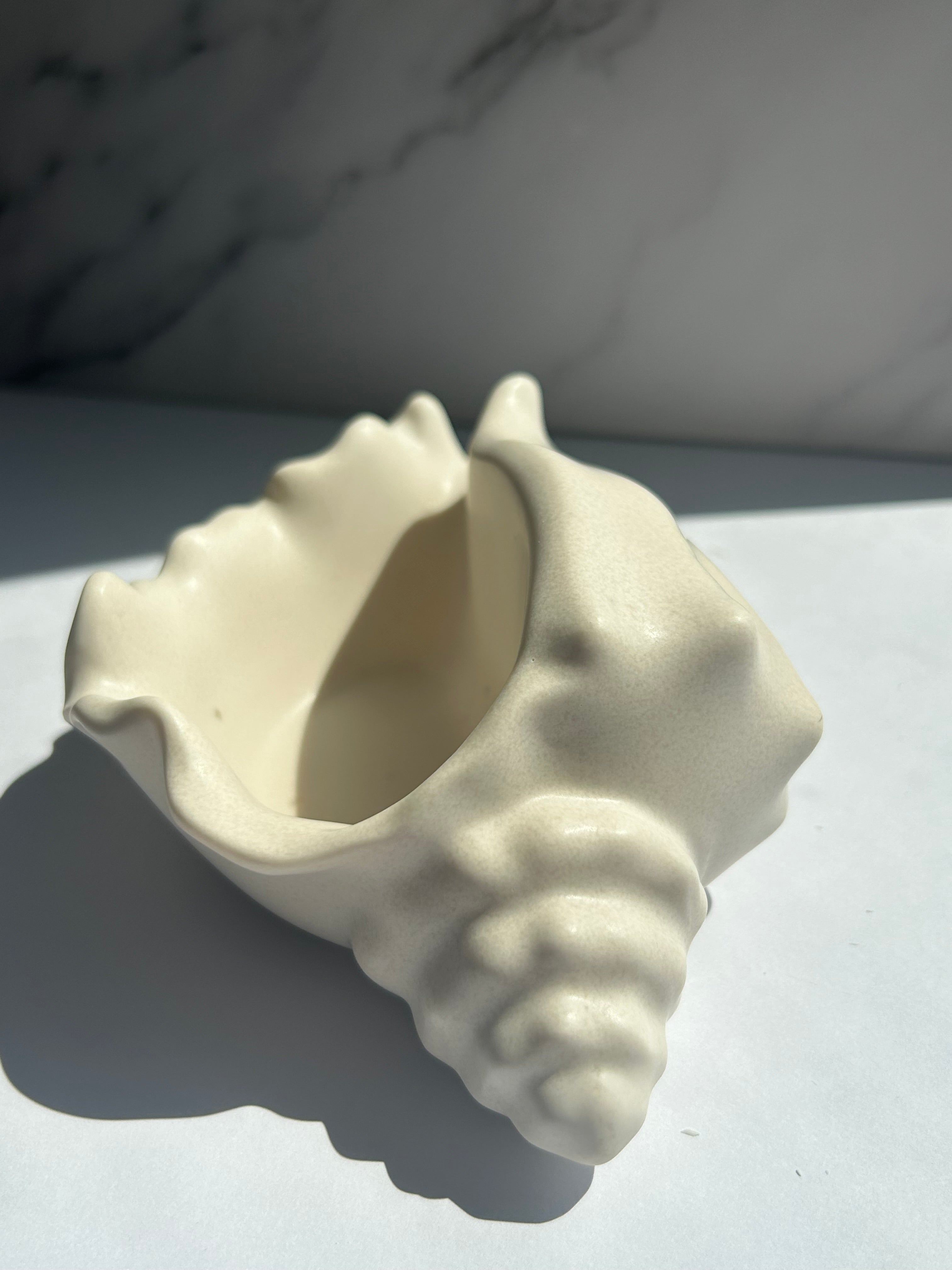 Muschelschale - Cream-White