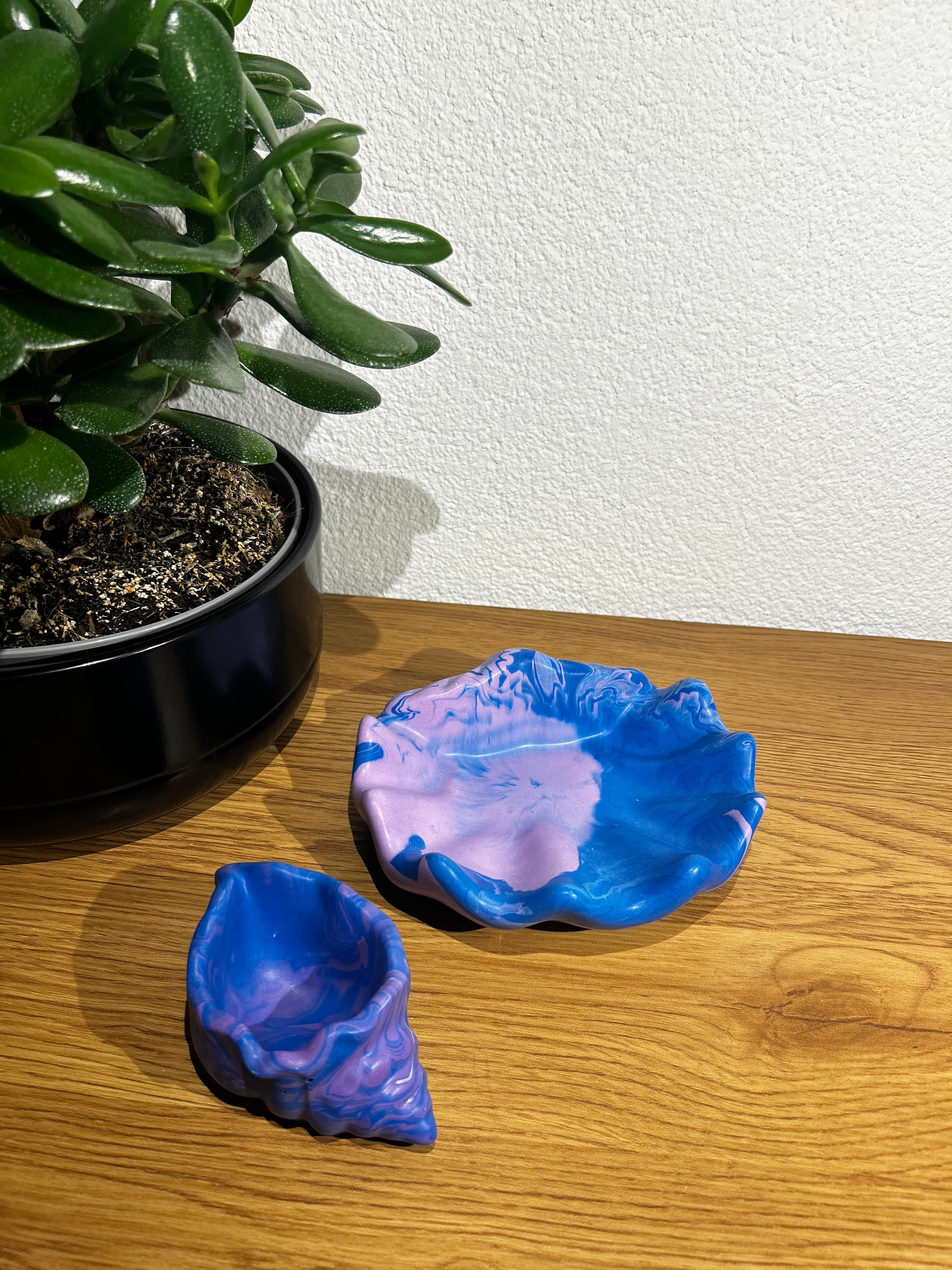Muschelschalen-Set