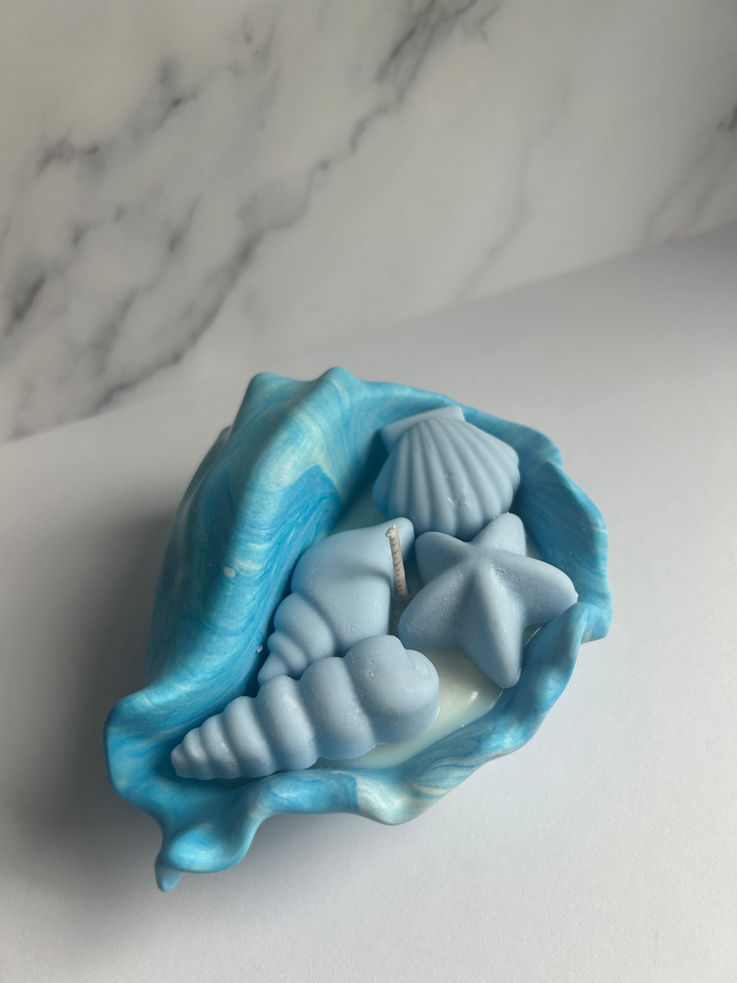 Muschelschale - Kerze Midnight Romance