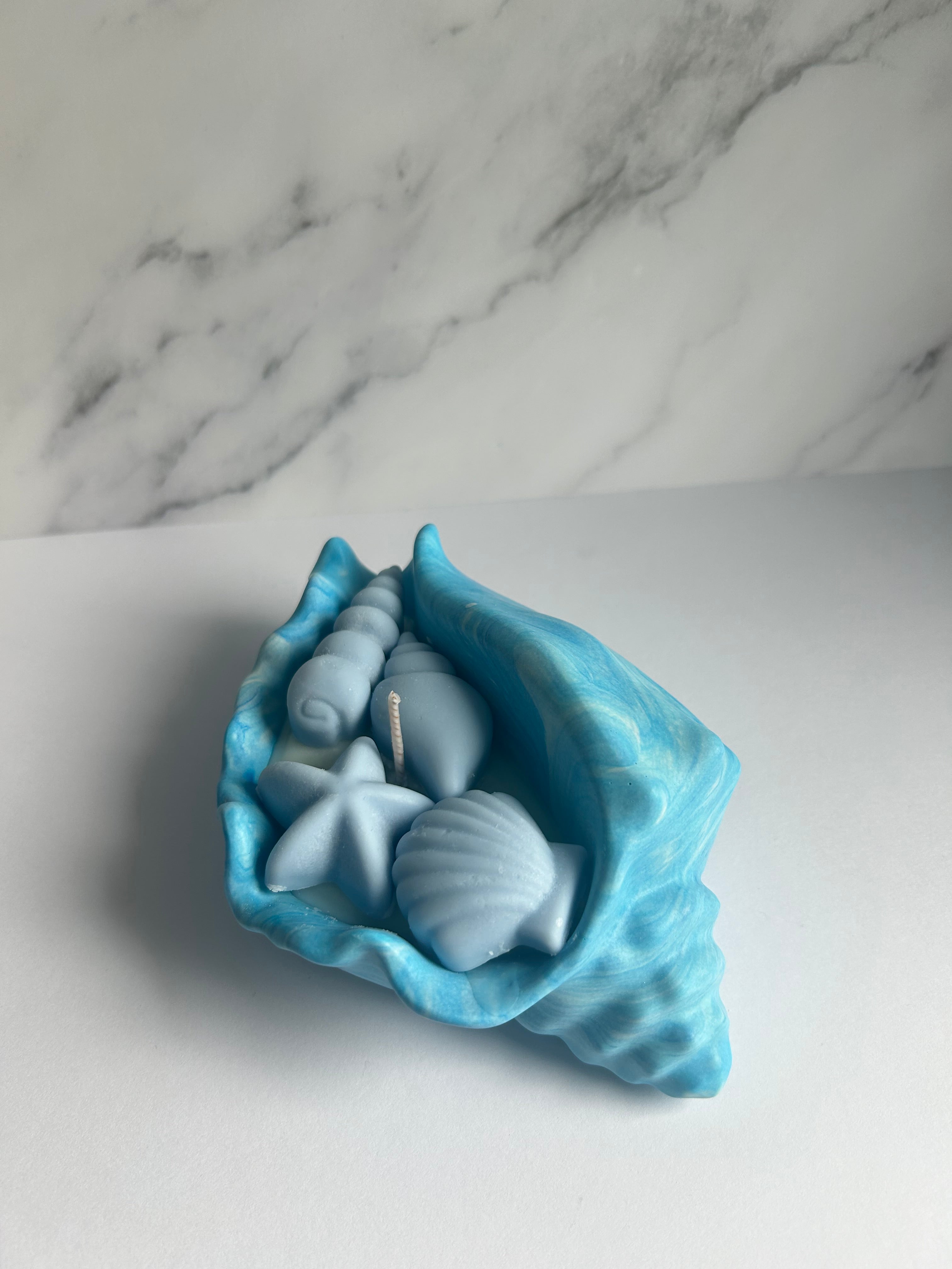 Muschelschale - Kerze Midnight Romance