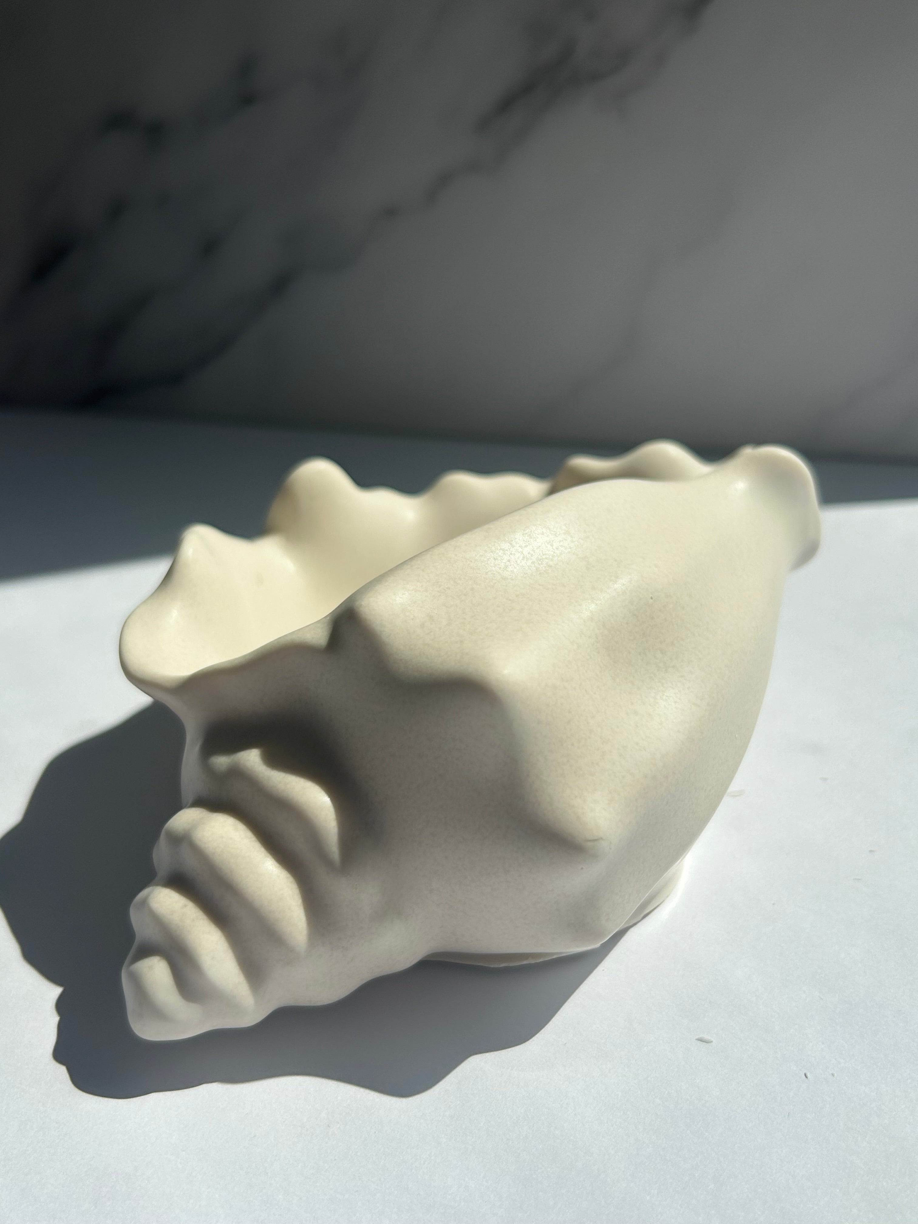 Muschelschale - Cream-White