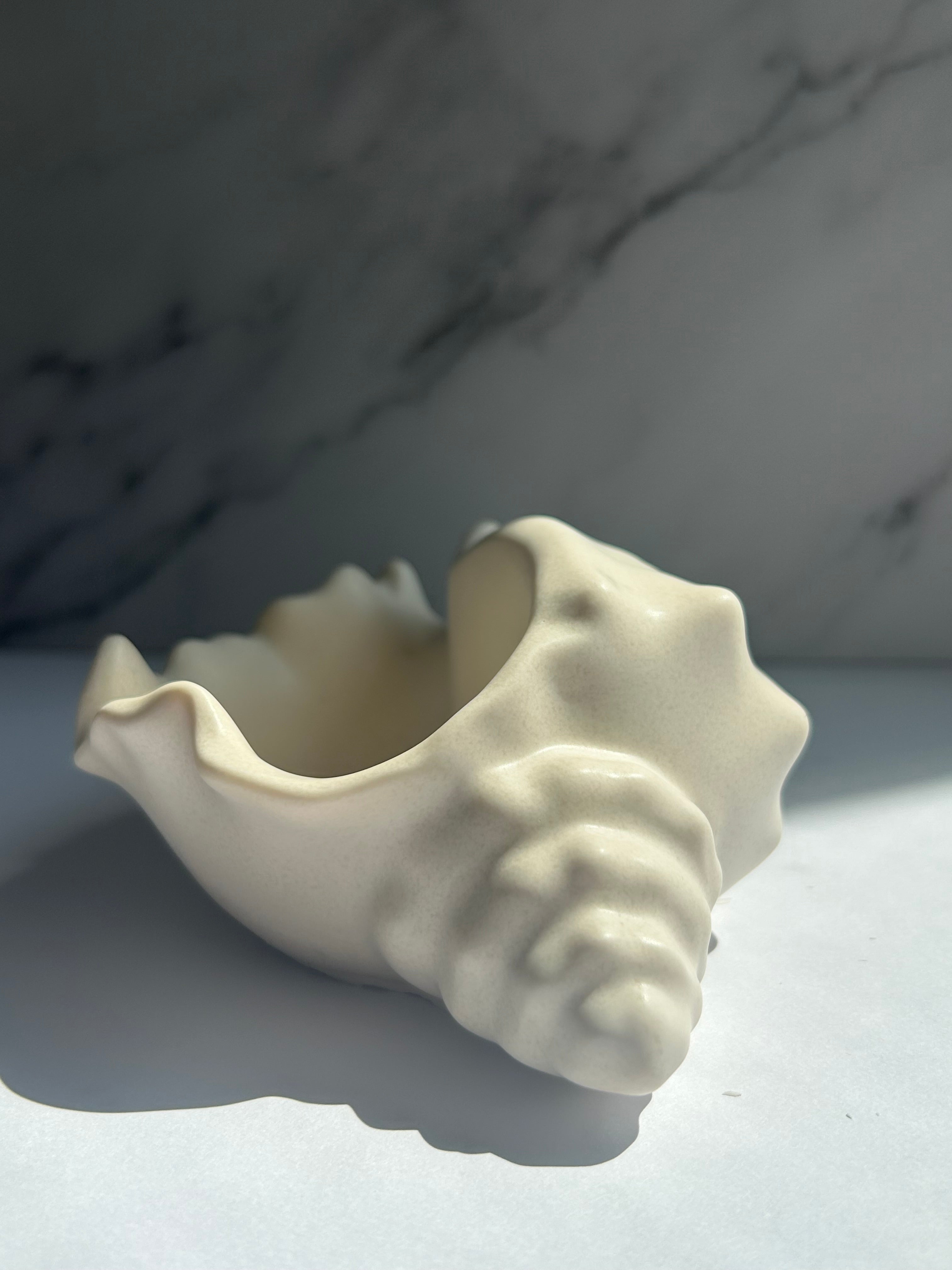 Muschelschale - Cream-White