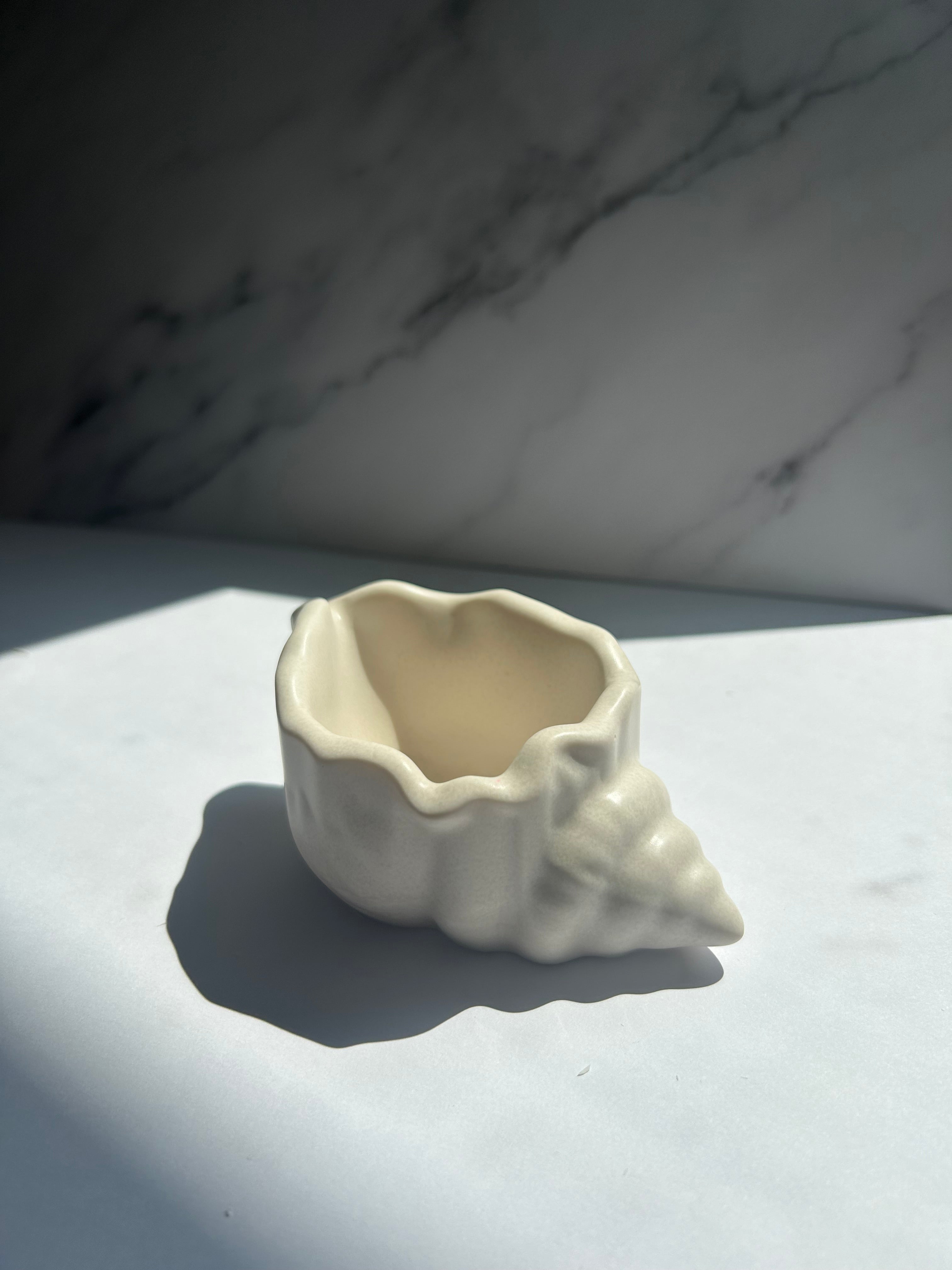Mini Muschelschale - Cream-White