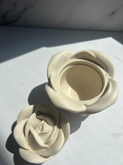 Rosendose - Cream-White