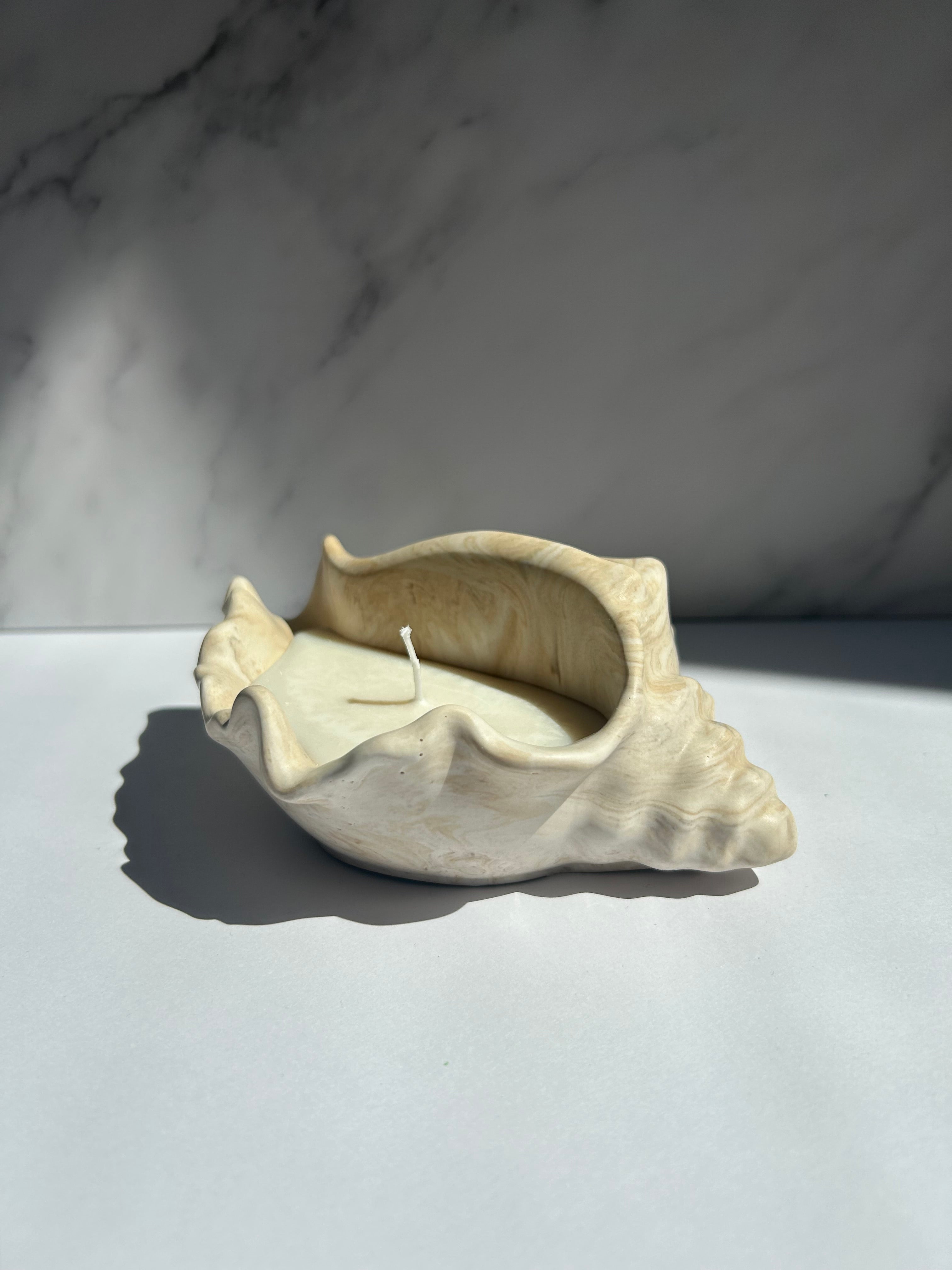 Muschelschale - Kerze Midnight Romance