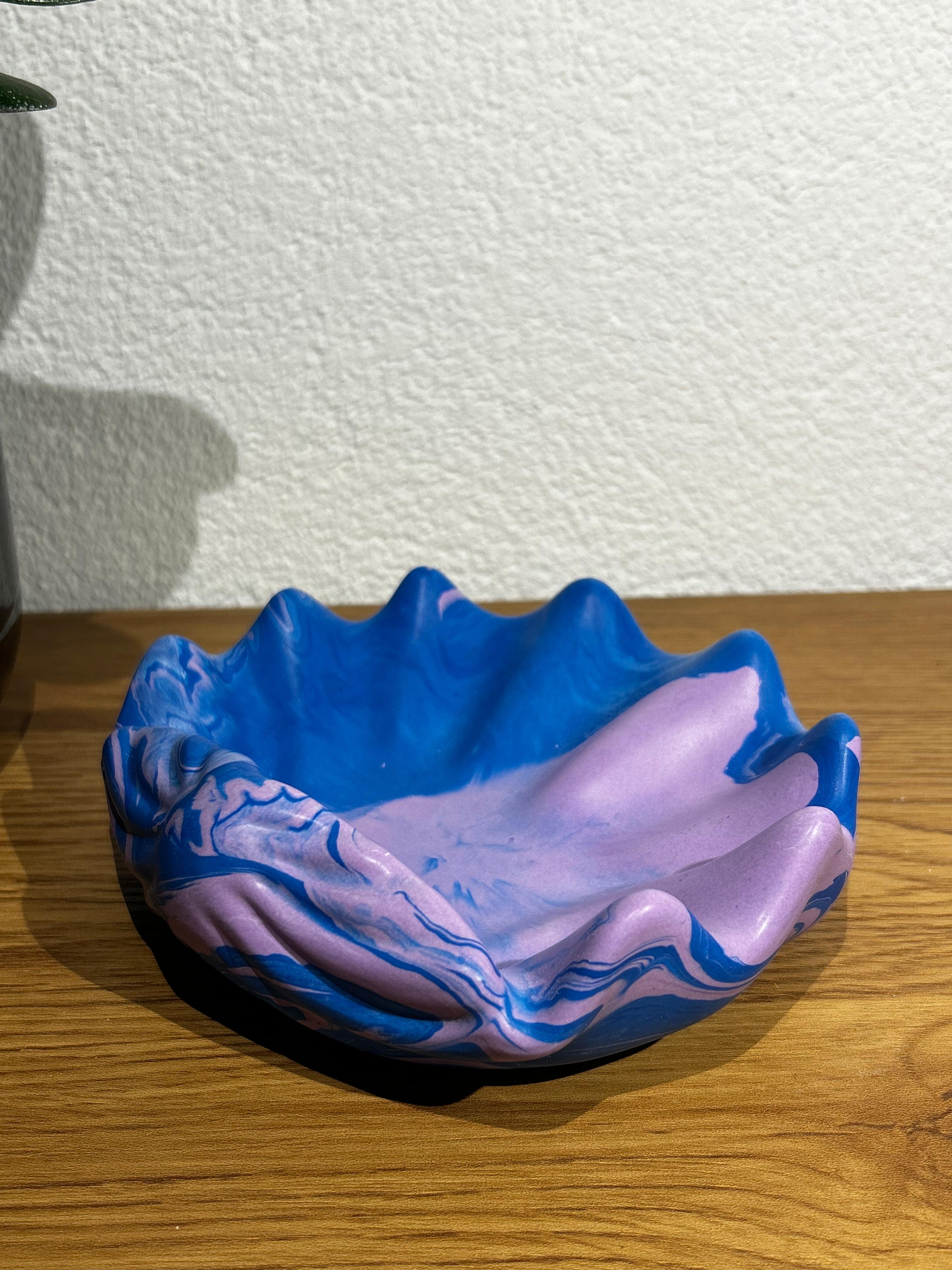 Muschelschalen-Set