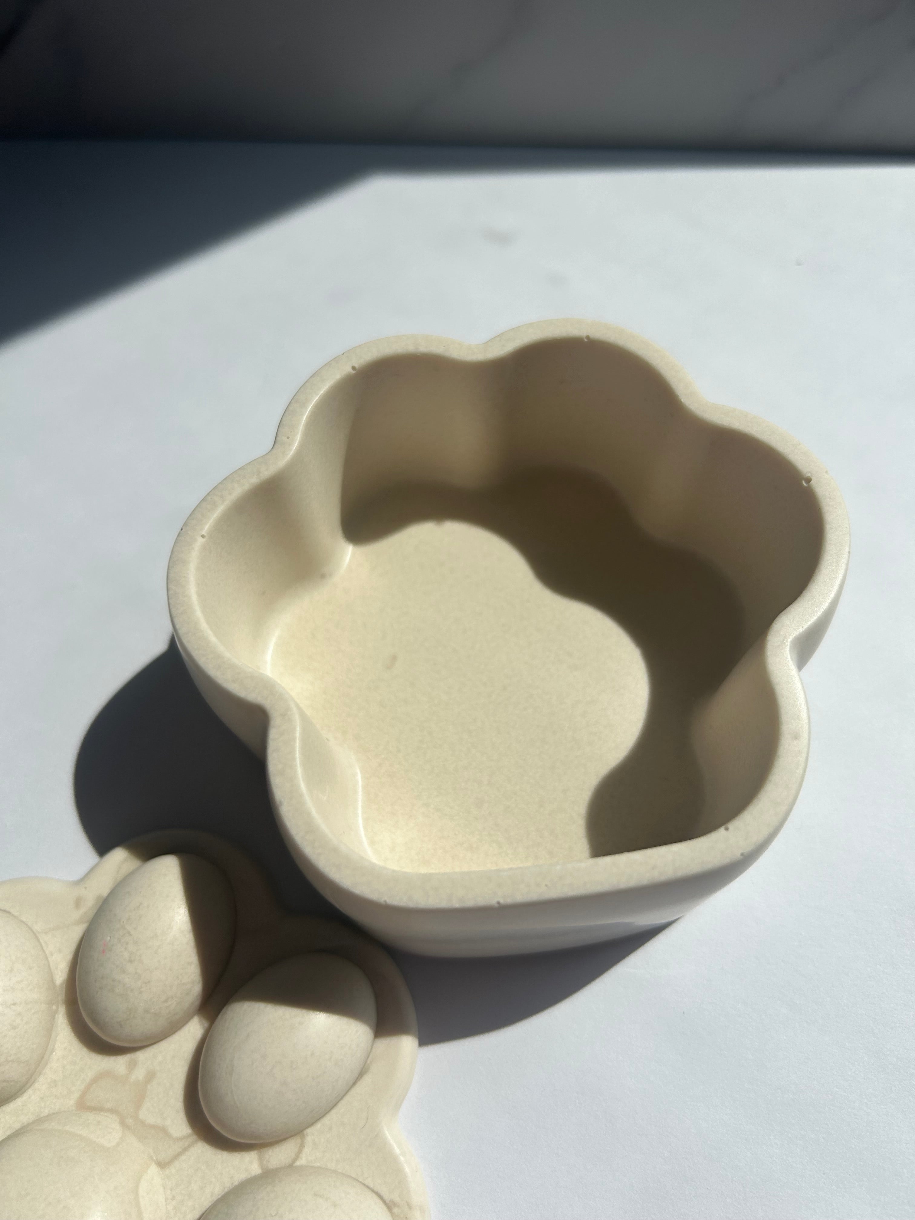 Pfotenbox - Cream-White