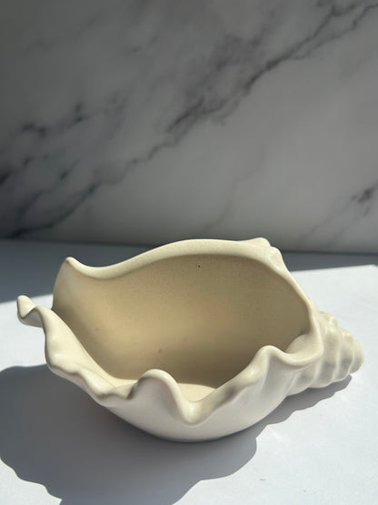 Muschelschale - Cream-White