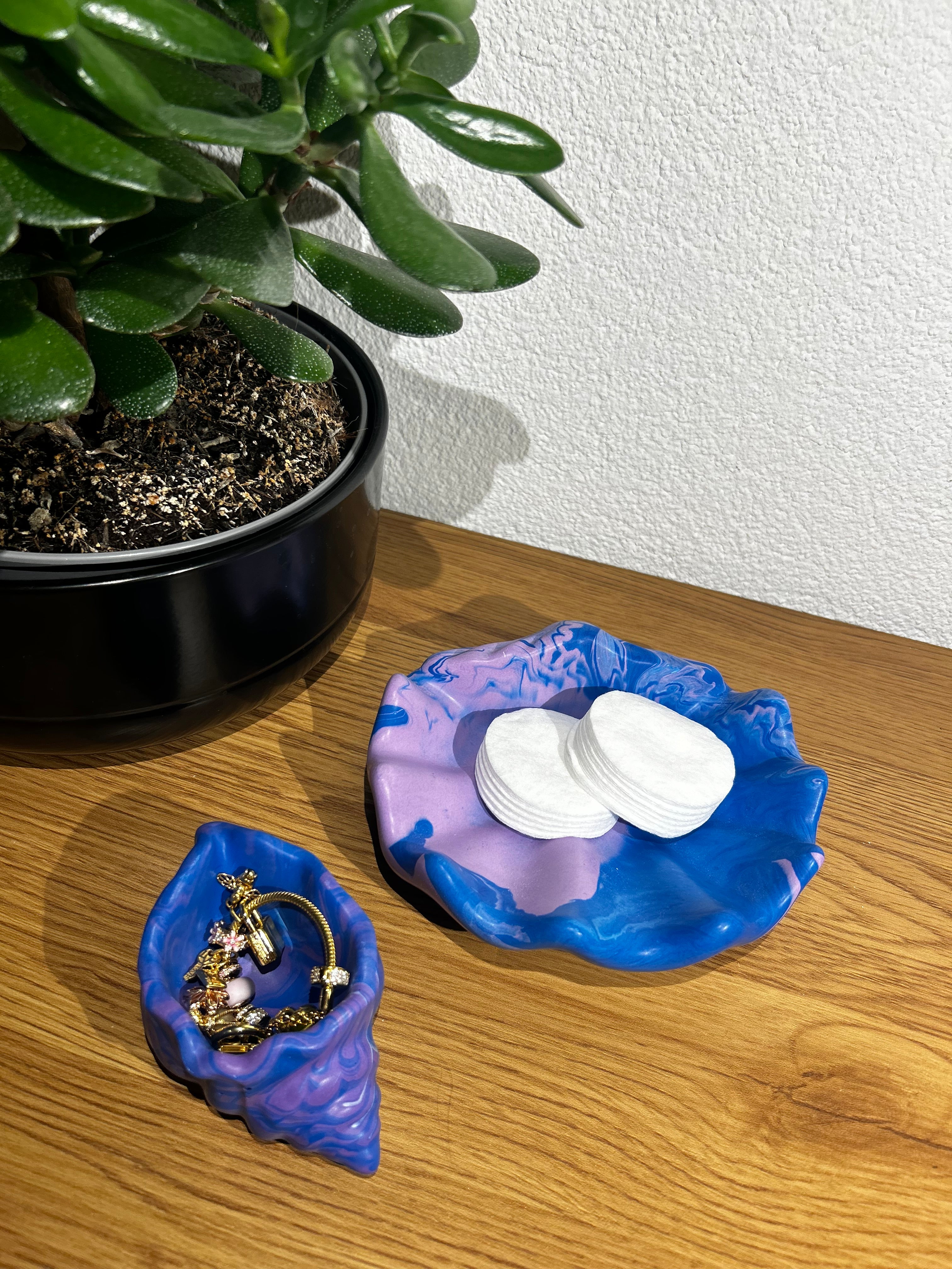 Muschelschalen-Set