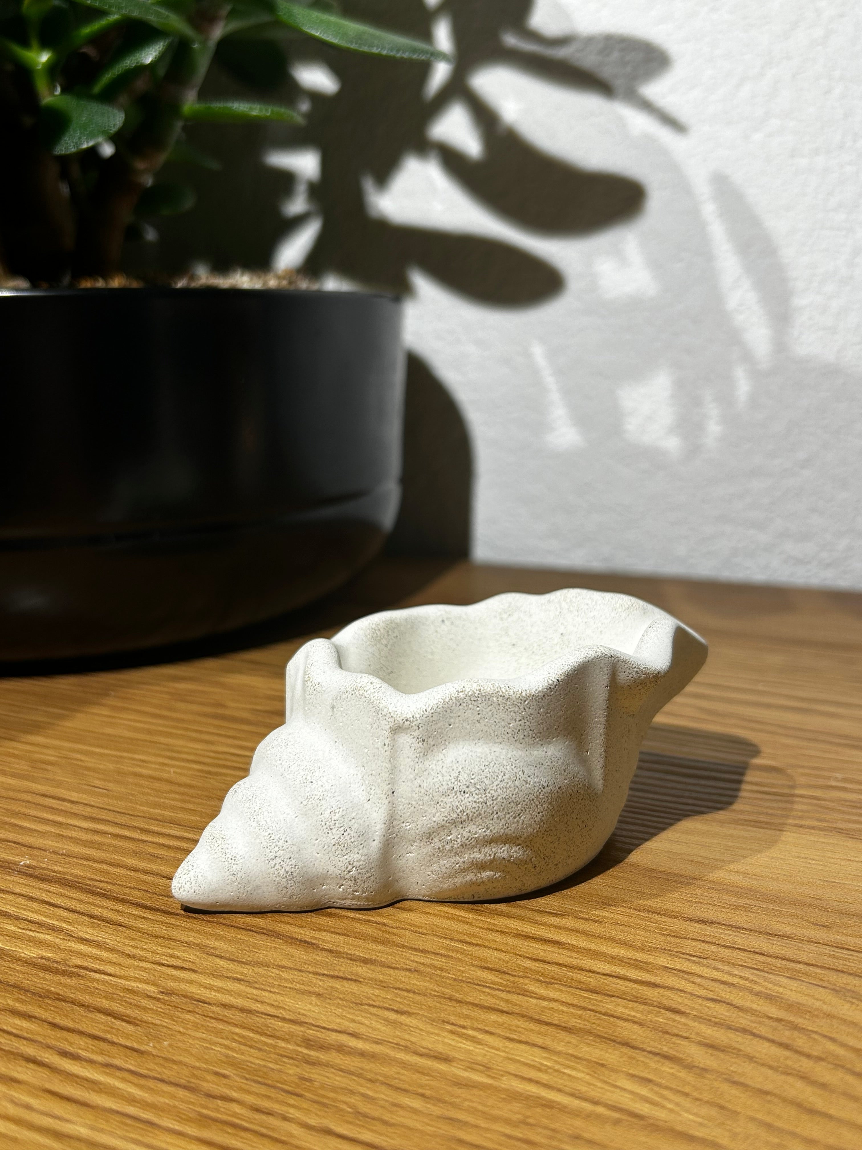 Mini Muschelschale - Sandstone