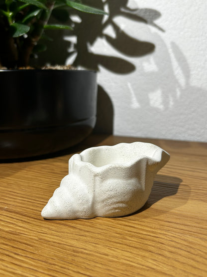 Mini Muschelschale - Sandstone