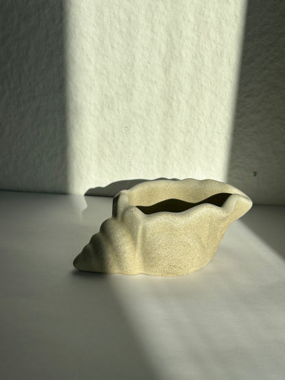 Mini Muschelschale - Sandstone